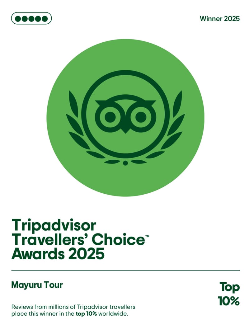 TripAdvisor Certificate of Excellence